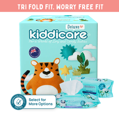 Monthly Diaper + Wipes Box